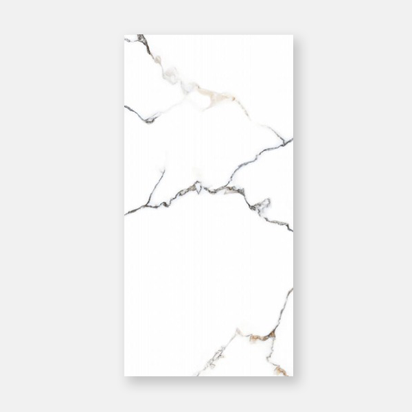 120X240 Slabs